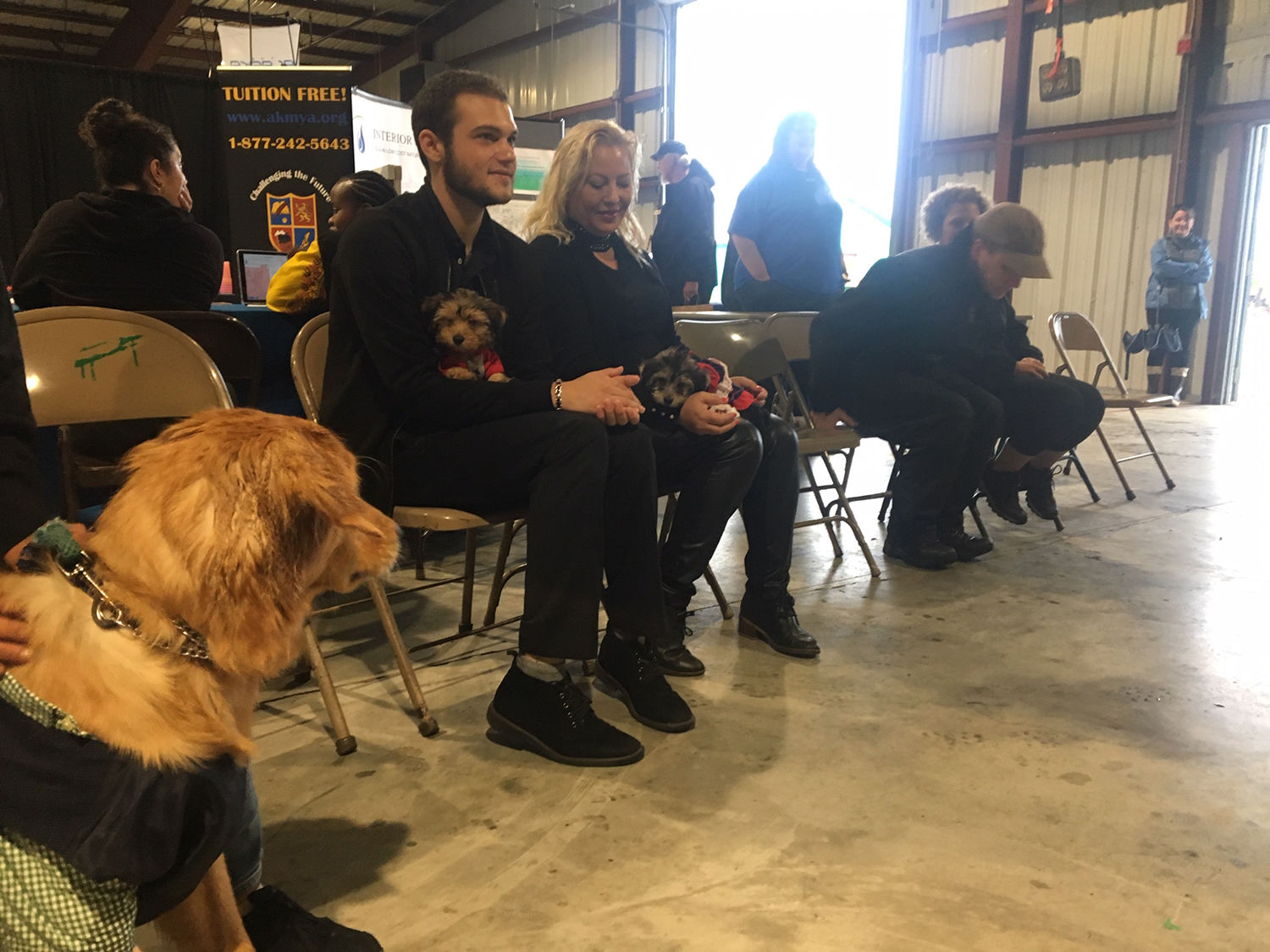 Dog costume contest Fair 2019